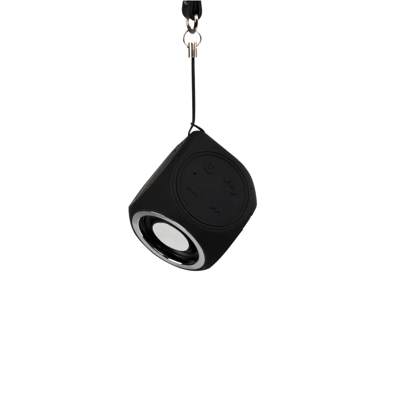 Bluetooth speakers